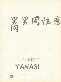 男男同性恋视频网