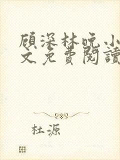 顾深林晚小说全文免费阅读