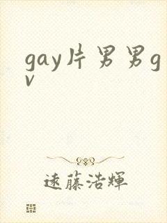 gay片男男gv