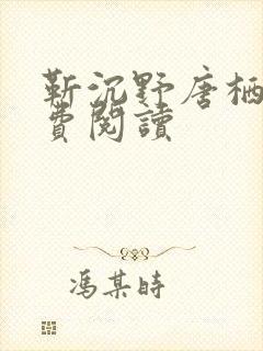 靳沉野唐栖雾免费阅读封面