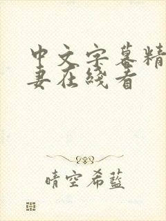 中文字幕精品人妻在线看