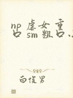 np 虐女 重口 sm 粗口小说