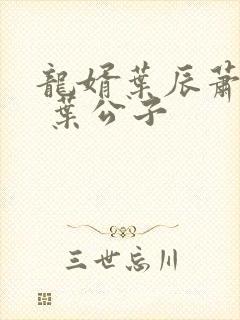 龙婿叶辰萧初然 叶公子封面