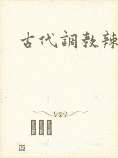 古代调教辣文