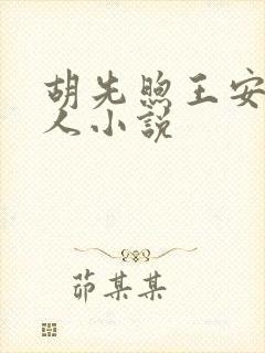 胡先煦王安宇同人小说封面