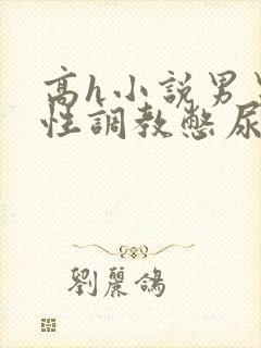 高h小说男男双性调教憋尿