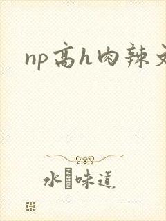 np高h肉辣文