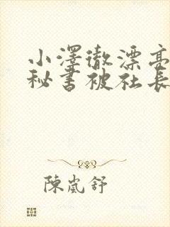 小泽彻漂亮人妻秘书被社长侵犯