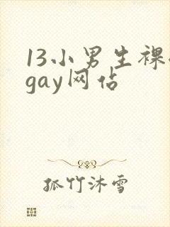 13小男生裸体gay网站