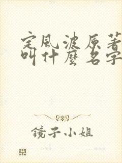 定风波原著小说叫什么名字