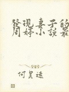 发现妻子的秘密周婷小说最新章节更