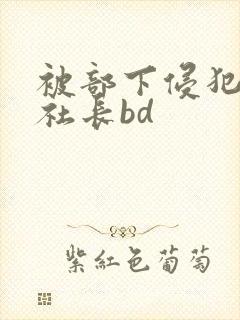 被部下侵犯的女社长bd封面