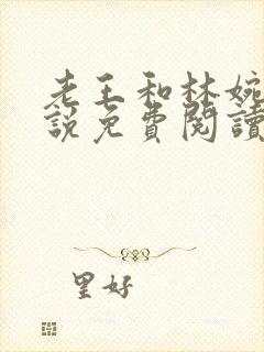 老王和林婉如小说免费阅读最新章节