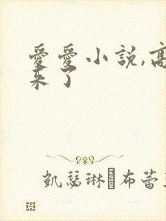 爱爱小说,高潮来了