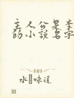 主人公是李初年的小说名字