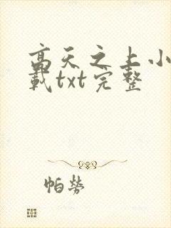 高天之上小说下载txt完整封面