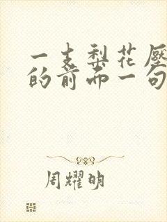 一支梨花压海棠的前面一句是什么