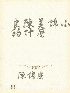 良陈美锦小说讲的什么