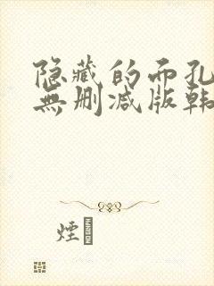 隐藏的面孔韩剧无删减版韩国在线观看