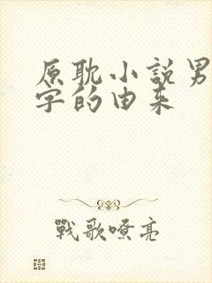 原耽小说男主名字的由来