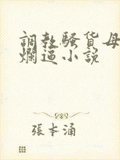 调教骚货母狗的烂逼小说