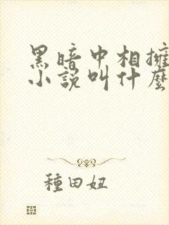 黑暗中相拥原著小说叫什么