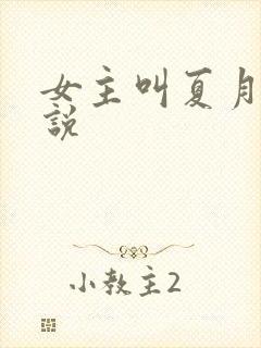 女主叫夏月的小说封面