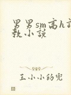 男男sm高h调教小说