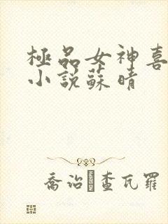 极品女神喜欢我小说苏晴