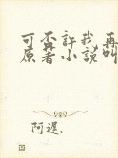 可否许我再少年原著小说叫什么