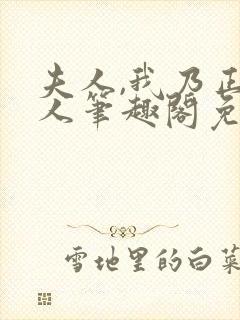 夫人,我乃正经人笔趣阁免费阅读封面