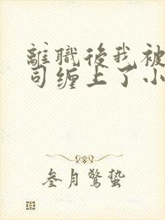 离职后我被前上司缠上了小说在线阅读