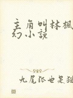 主角叫林枫的玄幻小说