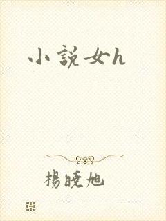 小说女h
