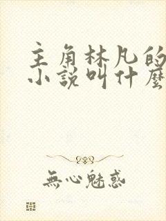 主角林凡的穿越小说叫什么