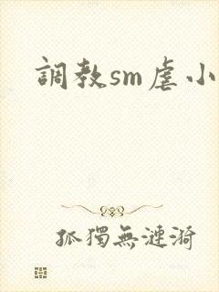 调教sm虐小说封面