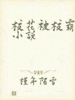 校花被校霸欺负小说