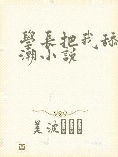 学长把我舔到高潮小说封面