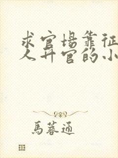 求官场靠征服女人升官的小说