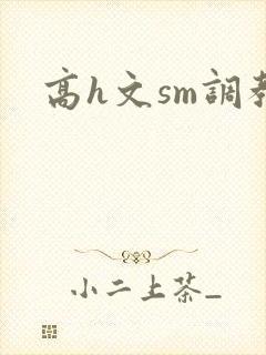 高h文sm调教