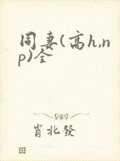 同妻(高h,np)全