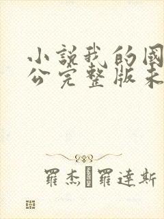 小说我的国民老公完整版未删减小说