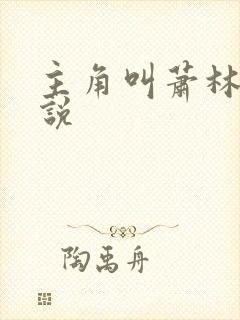 主角叫萧林的小说