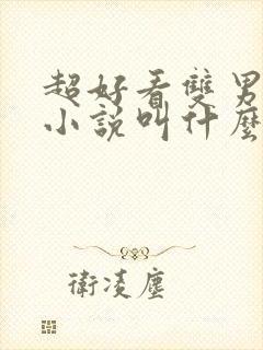 超好看双男主的小说叫什么封面