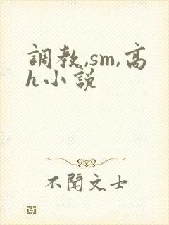 调教,sm,高h小说