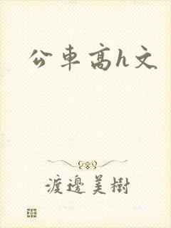 公车高h文