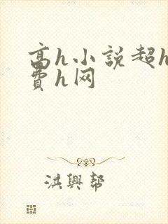 高h小说超h免费h网