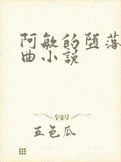 阿敏的堕落三部曲小说