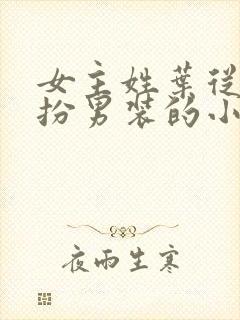 女主姓叶从小女扮男装的小说