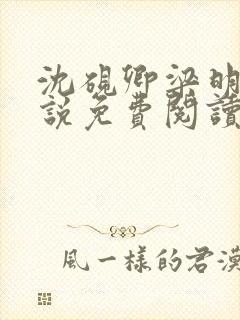 沈砚卿梁明昭小说免费阅读最新章节